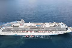 Int'l cruise ship brings over 2,000 tourists to Vung Tau (Photo: VNA)