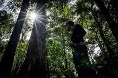 UNDP pledges to support Indonesia in realising climate goals 