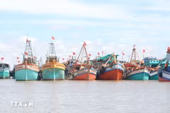 Bac Lieu has all of its fishing vessels of 15m long and above equipped with the VMS. - Illustrative image (Photo: VNA)