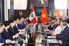 Vietnamese, Peruvian Presidents hold talks