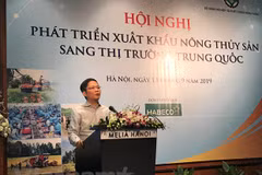 Joint efforts made to boost agro-fishery export to China 