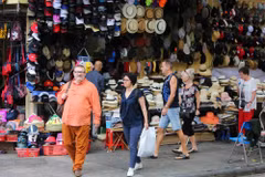 Business households develop into enterprises