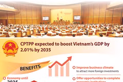 CPTPP expected to boost Vietnam’s GDP by 2.01% by 2035
