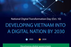 Vietnam accelerates digital transformation process