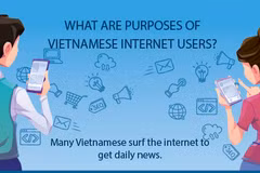 What are purposes of Vietnamese internet users?