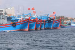 Quang Binh working to remove EC “yellow card” on IUU fishing
