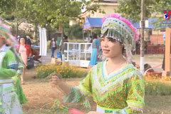 Traditional festivals to get digitalised