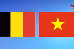 Vietnam - Belgium relations constantly developing