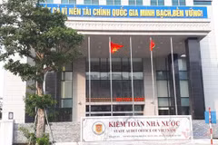 Vietnam develops environmental audit on par with int’l trend