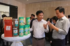 Hai Phong, Central Highlands team up for tourism development