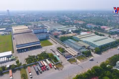 Vietnam’s economic growth driven by good recovery of sectors: WB