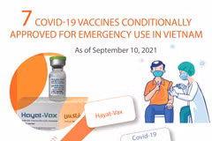 Seven COVID-19 vaccines conditionally approved for emergency use in Vietnam