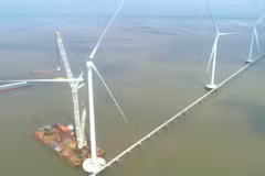 Mekong Delta attractive to renewable energy investment