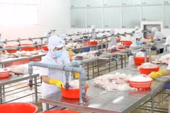 Vietnamese firms protect supply chain during tough time