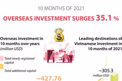Vietnamese investment abroad rises 35.1 percent in ten months
