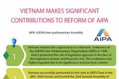 Vietnam makes significant contributions to reform of AIPA