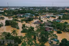 South-central region urged to raise capacity in natural disaster response
