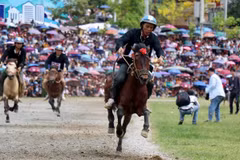 Reviving horse racing tradition in Lao Cai’s Bac Ha