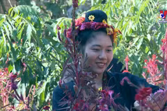 Cong ethnic minority in Dien Bien celebrate Flower Festival