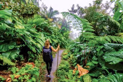 Localities accelerate digital transformation in tourism