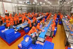 FDI inflows reach over 22 billion USD in 10 months
