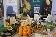 Vietnam seeks keys to unlock high value fruit markets