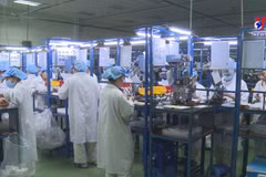 Vietnam to become RoK’s third largest trade partner