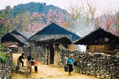 Ha Giang’s magnificent beauty lures travelers