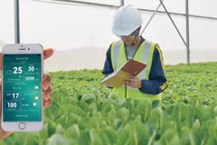 High-tech, organic farming improves quality, cuts cost of agriculture