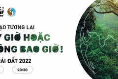 Earth Hour 2022: Switch off the lights, “shape” the future