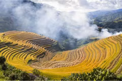 Vietnam named among world’s budget-friendly destinations by The Travel