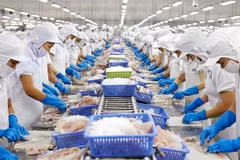 Both import and export are on good growth. (Photo: VietnamPlus)