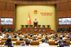 At the 15th National Assembly's eighth sitting (Photo: VNA)
