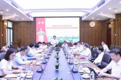 At the working session (Photo: VNA)