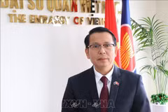 Ambassador to New Zealand Nguyen Van Trung (Photo: VNA)