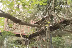 Amazing homestay services lure foreign visitors