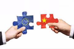 More efforts needed to enforce EU-Vietnam FTA