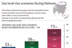 Sea level rise scenarios facing Vietnam