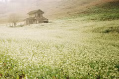 Mai Chau, tourism highlight of northwestern region