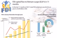 FDI capital flow to Vietnam surges 82.8 % in 11 months