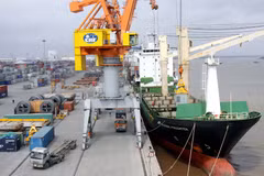 New opportunities await exporters 