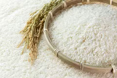 Public-private partnership in rice value chain discussed