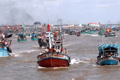 Ca Mau province prioritises sea economy