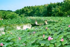 Lang Sen Wetland Reserve becomes Vietnam’s 7th Ramsar site 