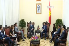 VNA News Bulletin - Nov. 13, 2015