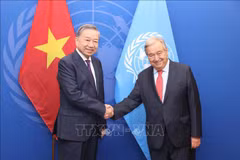 Party General Secretary and President To Lam (L) meets UN Secretary-General António Guterres (Photo: VNA)