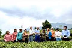 A delegation of the Canadian Embassy in Vietnam visits tea hills in Lai Chau province. (Photo: VNA)