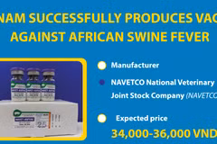 Vietnam successfully produces vaccine against African swine fever