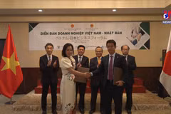 Japanese investors’ confidence in Vietnam increasing: JETRO Vice President