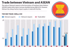 Trade between Vietnam and ASEAN 